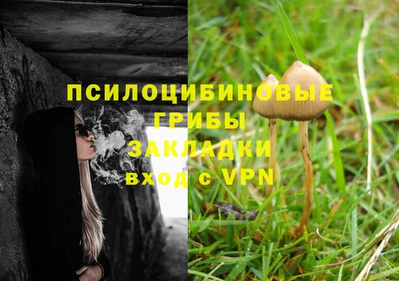 МЕГА сайт  где можно купить наркотик  Нарткала  Псилоцибиновые грибы MAGIC MUSHROOMS 